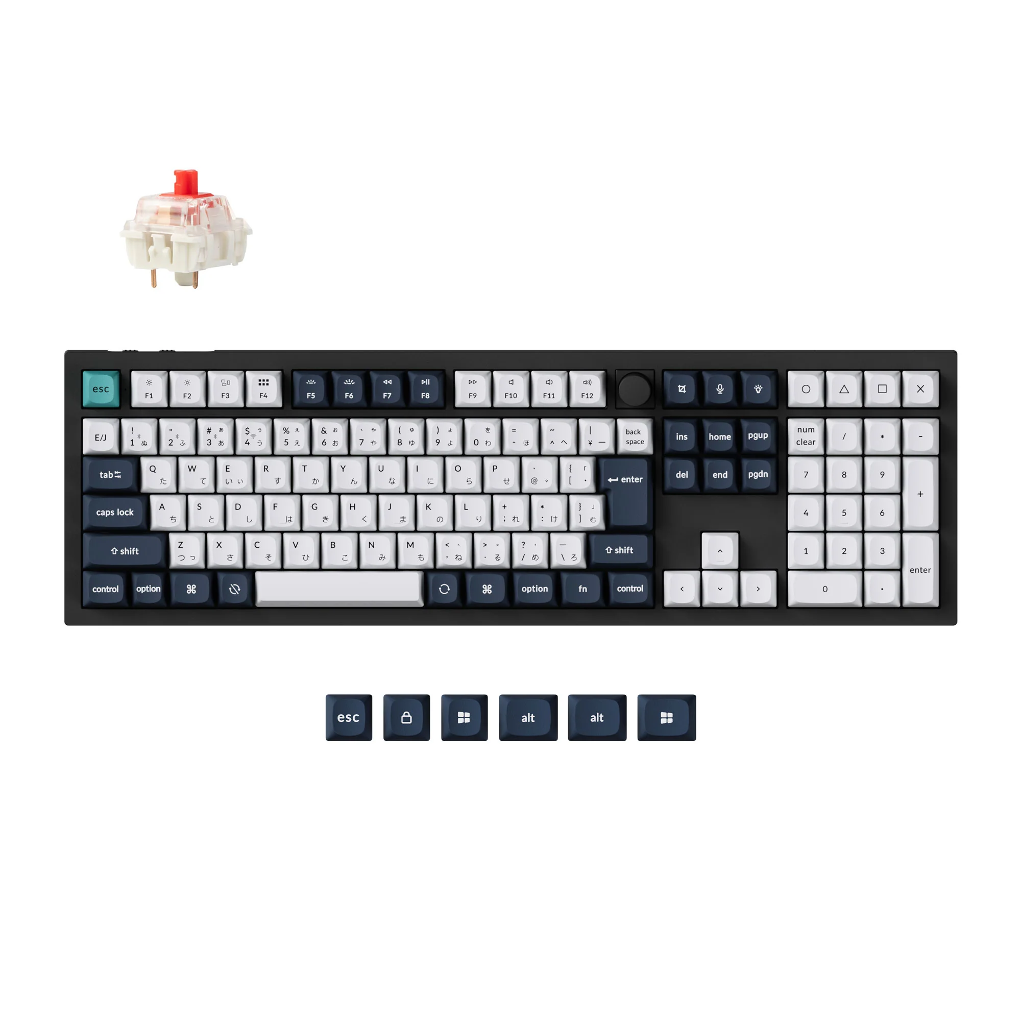 Custom Keyboards